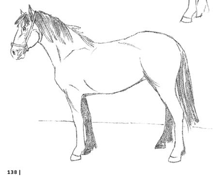 Jak Narysować Konia Kucyka Rysowanie Krok Po Kroku