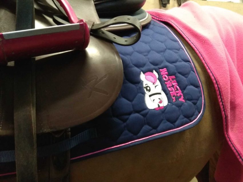 Czaprak Lucky Horse Sklep z motywami końskimi Lucky Horse